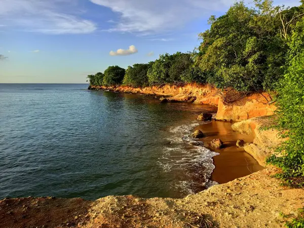 stock image scenic coast in saint Rose near pointe allegre and anse des iles beach, with pink rocks in sunset light in basse terre, guadeloupe