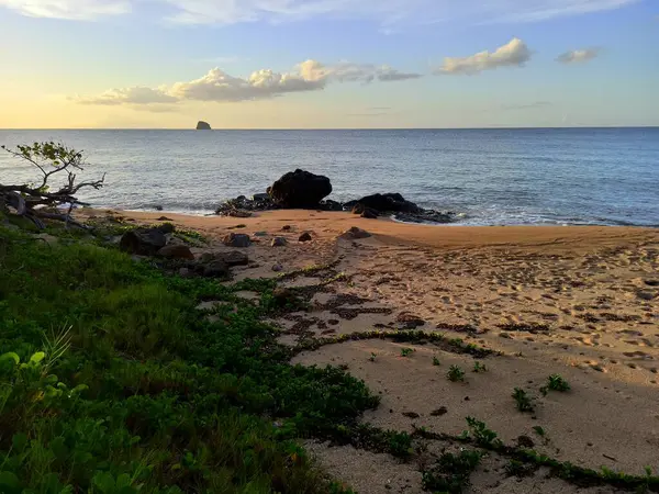 Stock image Anse des iles beach in sunset light in Sainte Rose, guadeloupe, french antilles, idyllic evening scenery