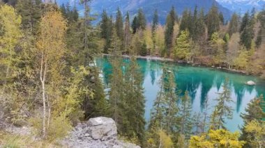 Lac Vert 'ten manzara, Passy, Haute Savoie' deki çam ağacı ormanlarındaki açık alp gölü, Fransız Alpleri bölgesi, panorama videosu.
