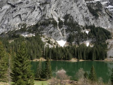 Haute Savoie 'de Cluses yakınlarında Bargy ve lac Benit, Fransız Alplerinde Alp Gölü ve Ormanı