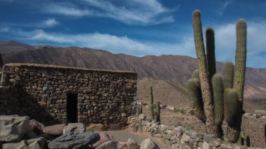 Paisajes Arjantin Selva Patagonya