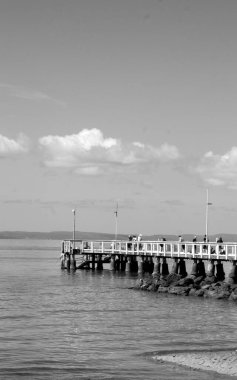 Siyah beyaz bir köprü 