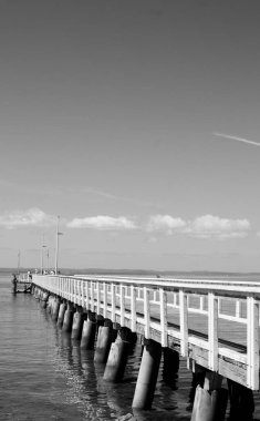 Siyah beyaz bir köprü 