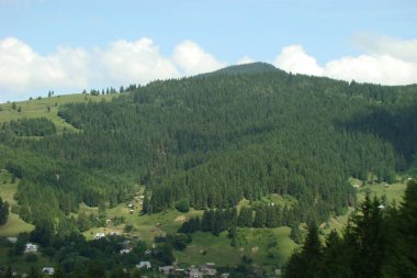 Yazın dağların manzarası