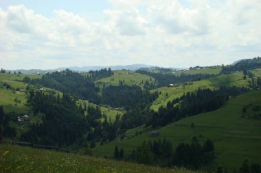 Yazın dağ vadisi manzarası