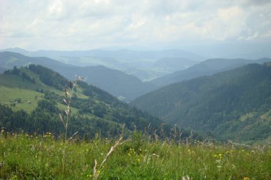 Yazın dağların manzarası