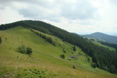 Yeşil çimenli dağ manzarası
