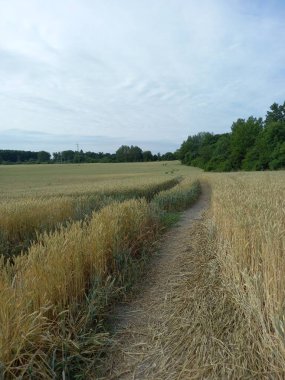 Doğanın güzel manzarası