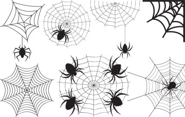 Örümcek ağı seti. Vektör çizimi. Cadılar Bayramı.