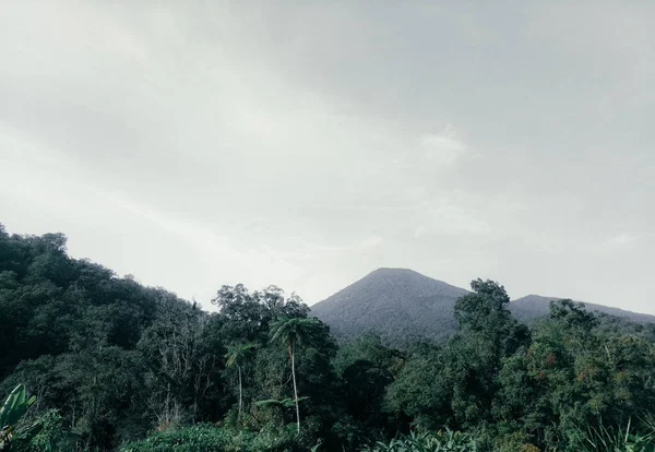 Κορυφή Του Βουνού Pangrango Εικόνα Συλλαμβάνεται Χαμηλή Γωνία Φύση Τοπίο — Φωτογραφία Αρχείου