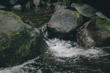 Ormanda temiz ve soğuk su ve çakıl taşları olan küçük bir nehir ya da dere.