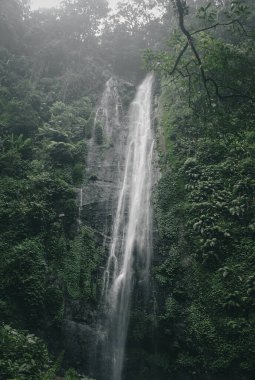 Temiz ve soğuk su ve birçok bitki örtüsüyle güzel bir şelale manzarası.