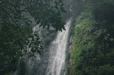 Yeşil ormandaki güzel şelale temiz ve soğuk suyla ve birçok bitki örtüsüyle, basit manzara fotoğrafçılığıyla
