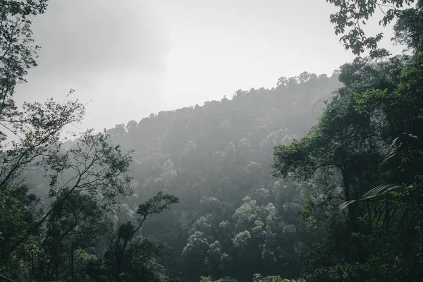 Όμορφη Θέα Λόφο Και Κοιλάδα Πυκνό Δάσος — Φωτογραφία Αρχείου