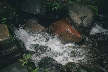 Nehirdeki temiz ve soğuk suyun güzel akıntısı, doğa fotoğrafçılığı konsepti
