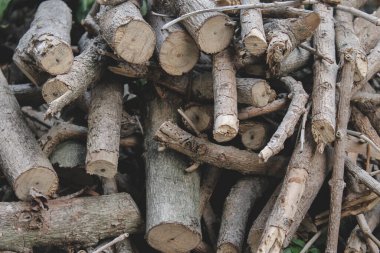 Duvar kağıdı, arkaplan vb. için uygun yakın çekim ile yakalanmış odun kütükleri ve dallar yığını.