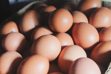 Tavuk yumurtası koleksiyonunu sepete koy.