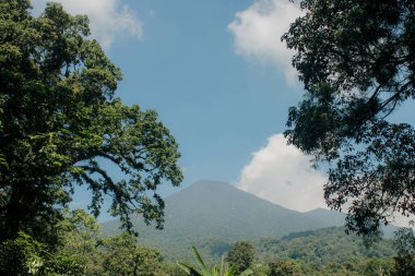 Sabahları dağ manzarası