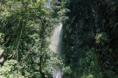 Temiz su ve yeşil bitki örtüsüyle güzel bir şelale. Duvar kağıdı ve arka plan için uygun doğa manzarası.