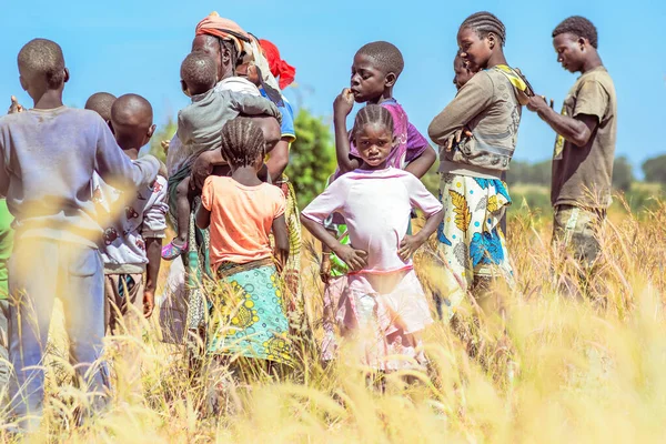 나이지리아의 2023 아프리카의 아이들 — 스톡 사진