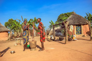 Nijerya - 6 Mart 2021: Afrikalı Kadın Nijerya köyünde büyük harç ve yaylalar kullanıyor