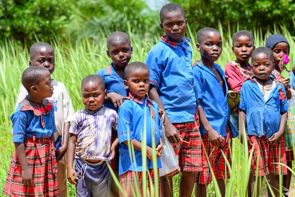 Abuja Nijerya Haziran 2023 Afrikalı Genç Öğrenciler Kırsal Toplulukta Öğreniyor — Stok fotoğraf