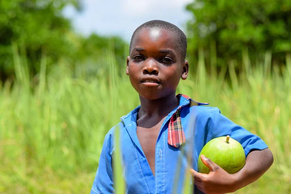 stock image Abuja, Nigeria - June 12, 2023: Portrait of cute african school boy posing on the background of green grass