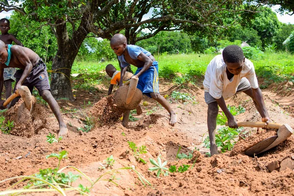 Abuja Νιγηρία Ιουνίου 2023 Ομάδα Αφρικανών Παιδιών Που Σκάβουν Έδαφος — Φωτογραφία Αρχείου
