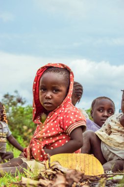 Plato Eyaleti, Nijerya - 6 Ekim 2022: Çimlerin üzerindeki Afrikalı Çocuklar