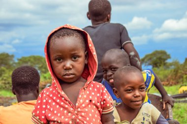 Plato Eyaleti, Nijerya - 6 Ekim 2022: Çimlerin üzerindeki Afrikalı Çocuklar