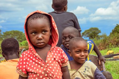 Plato Eyaleti, Nijerya - 6 Ekim 2022: Çimlerin üzerindeki Afrikalı Çocuklar