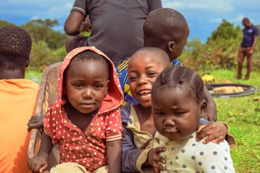 Plato Eyaleti, Nijerya - 6 Ekim 2022: Çimlerin üzerindeki Afrikalı Çocuklar