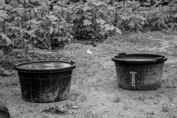 Buckets Water African Village — Stock Photo, Image