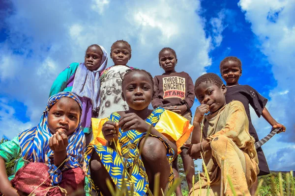 플라토 2022 아프리카 어린이 칠흑같은 아프리카 어린이들 옥외에 — 스톡 사진