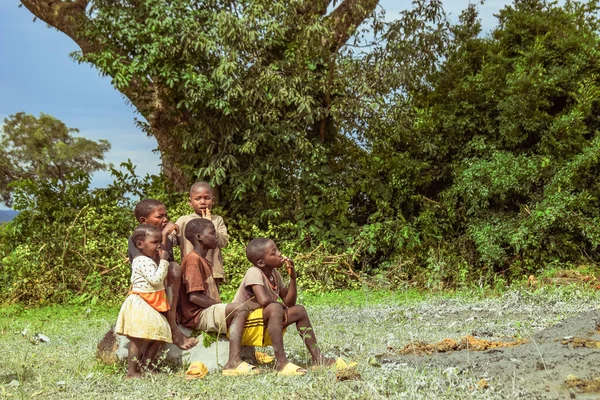 Plateau State Nigeria Października 2022 Afrykańskie Dzieci Trawie — Zdjęcie stockowe