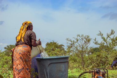 Abuja, Nijerya - 8 Ekim 2022: Afrikalılar su getiriyor. Afrika Topluluğunda Temiz Su Çözümü