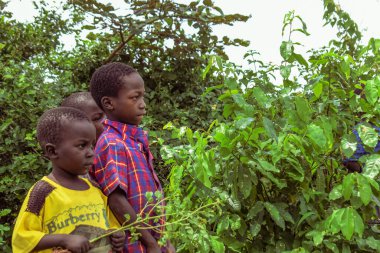 Abuja, Nigeria - October 5, 2022: Portrait of African Children. Random Candid Moments with African Children.