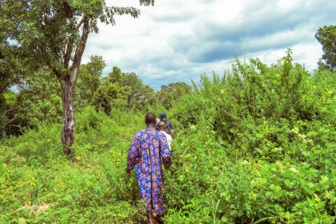 Nijerya - 20 Haziran 2023: Yeşillik tropik bitki örtüsü boyunca yürüyen Afrikalılar 
