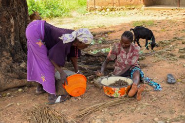 Opialu, Benue State - 6 Mart 2021: Sıcak bir öğleden sonra, Palm Kernel Tohumlarını sınıflandıran Afrikalı Kadın