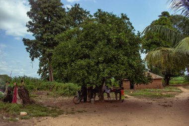 Opialu, Benue State, Nijerya - 6 Mart 2021: Sıcak Bir Öğleden Sonra Afrika Köyü 