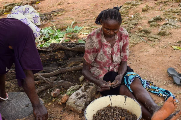 stock image Opialu, Benue State - March 6, 2021: African Woman sorting Palm Kernel Seeds for Processing on a hot afternoon