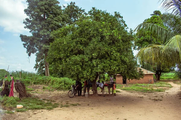 尼日利亚贝努埃州Opialu 2021年3月6日 下午温暖的非洲村 — 图库照片