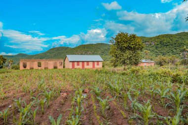 Opialu, Benue State, Nijerya - 6 Mart 2021: Sıcak Bir Öğleden Sonra Afrika Köyündeki Tipik Konut Yapısı - Mud House