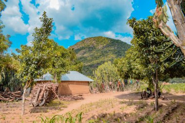 Opialu, Benue State, Nijerya - 6 Mart 2021: Sıcak Bir Öğleden Sonra Afrika Köyündeki Tipik Konut Yapısı - Mud House