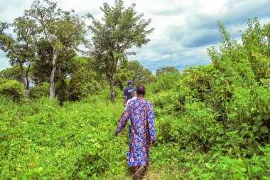 Nijerya - 20 Haziran 2023: Yeşillik tropik bitki örtüsü boyunca yürüyen Afrikalılar 
