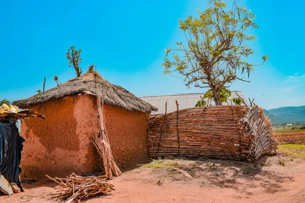 나이지리아 2021 아프리카의한 마을에서 — 스톡 사진