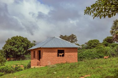 Sıcak Öğleden Sonra Çamur Evi 'ndeki bir Afrika köyündeki tipik konut yapıları. Afrika Kırsal Topluluğunda Penceresinde Bir Keçi Duran Eski Perili Ev