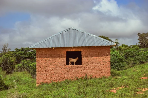 Typische Woningbouw Een Afrikaans Dorp Een Hete Namiddag Mud House — Stockfoto