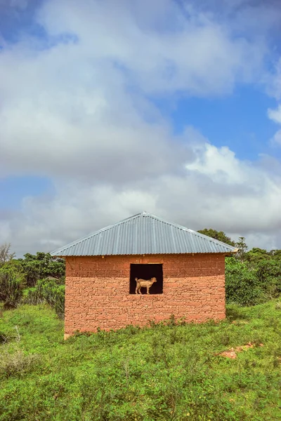 Typisk Bostadsstruktur Afrikansk Varm Eftermiddag Lerhus Gammalt Spökhus Med Get — Stockfoto