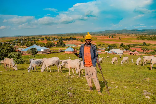 Plateau State Nigeria Junio 2022 Retrato Adolescente Africano Pastando Vacas — Foto de Stock